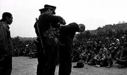 龙治民电视剧,权谋风云下的逆袭传奇