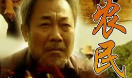 电视剧根,探寻家族血脉，传承民族精神